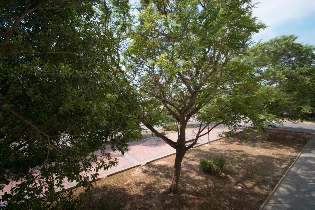 113 Beach And Trees - Alicante Holiday Torrevieja Exteriör bild