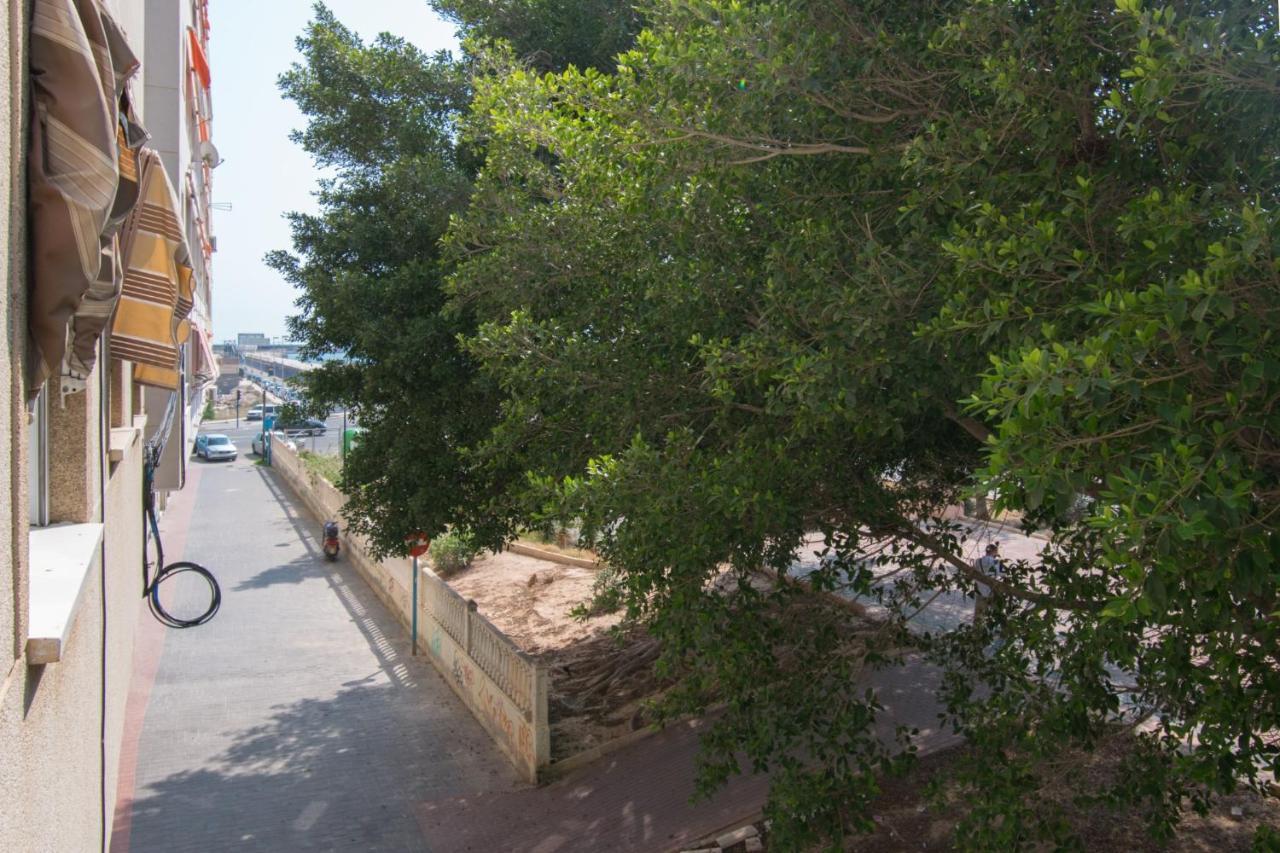 113 Beach And Trees - Alicante Holiday Torrevieja Exteriör bild
